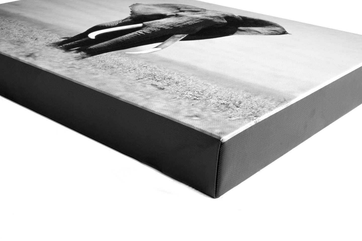 Split Photo Prints — Black: Low-angle corner close-up of a canvas with a Black edge