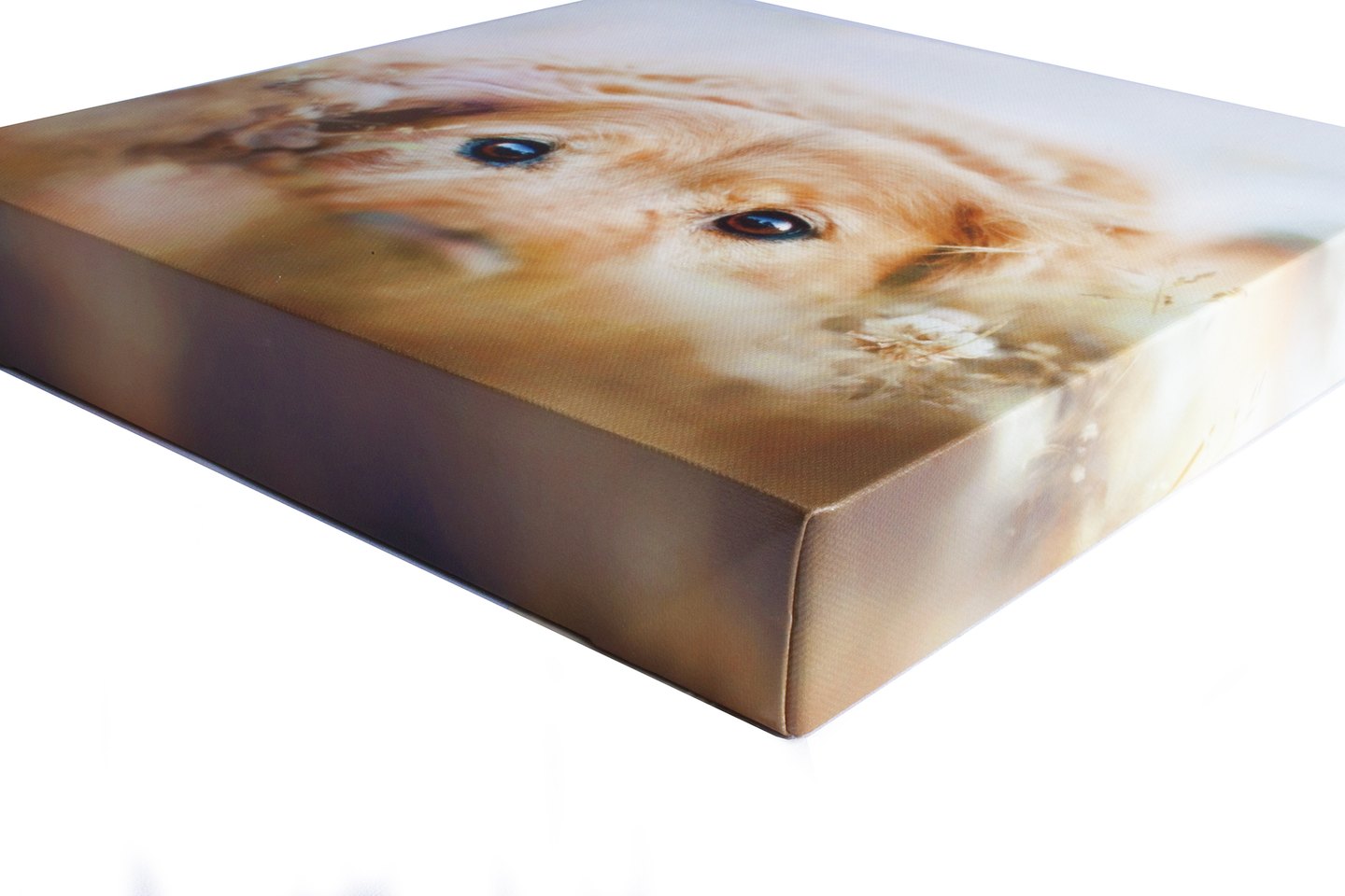 Standard Canvas Print — Image Wrap: Low-angle corner close-up of a canvas with a Image Wrap edge