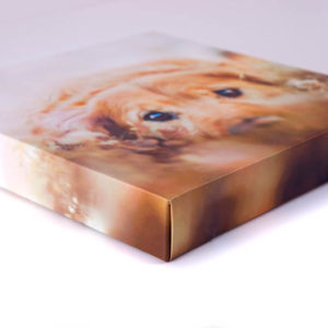 Premium Canvas Prints