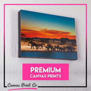 Premium Canvas Prints